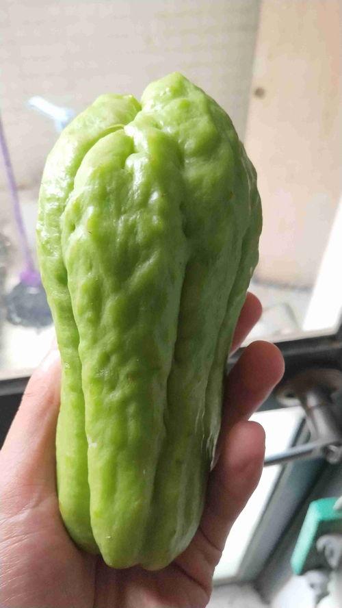 坎瓜怎么吃的视频,视频教你轻松烹饪