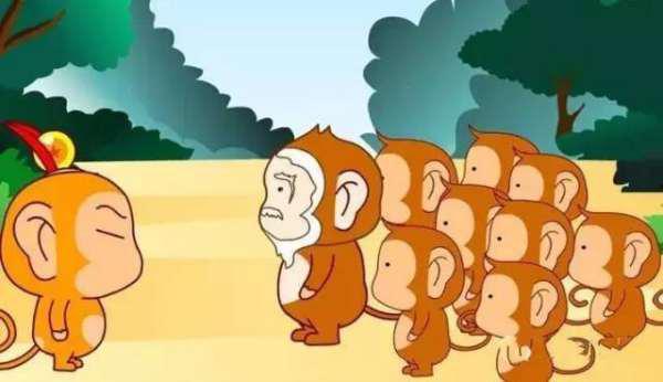 一只蜜蜂吃瓜的故事视频,一场甜蜜的意外之旅