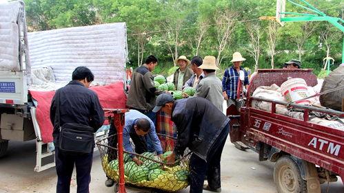 雒县吃瓜群众事件视频最新,一场网络舆论的风暴与反思