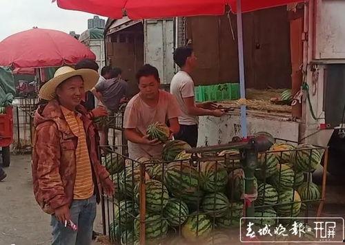 雒县吃瓜群众事件视频最新,一场网络舆论的风暴与反思