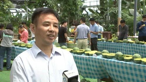 雒县吃瓜群众事件视频最新,一场网络舆论的风暴与反思