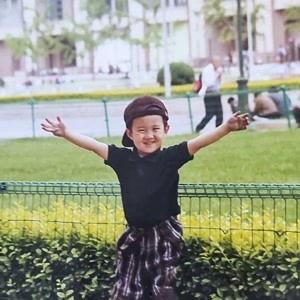 大成吃瓜视频,大成吃瓜视频背后的故事与影响