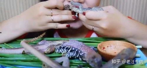 恶心吃瓜视频解剖,解剖背后的网络现象与心理效应