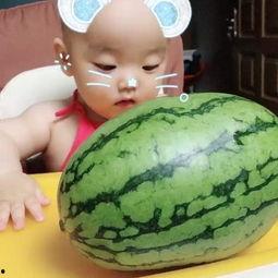 吃瓜摆烂陈笑笑视频大全,欢乐搞笑，笑点满满