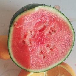 吃瓜摆烂陈笑笑视频大全,欢乐搞笑，笑点满满