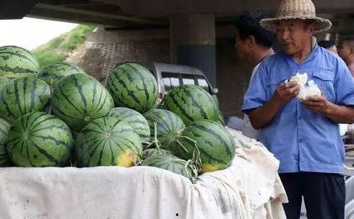 宁强县吃瓜事件真相视频,揭秘真相背后的惊人内幕