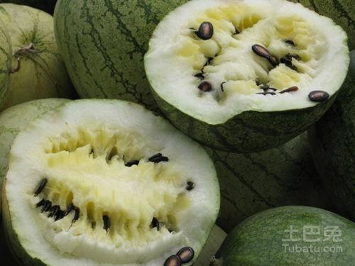 籽瓜生芽可以吃吗视频播放,视频揭秘健康美味新选择