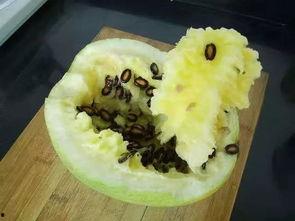 籽瓜生芽可以吃吗视频播放,视频揭秘健康美味新选择