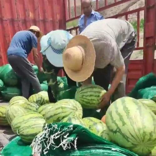 韩城大事件吃瓜群众视频