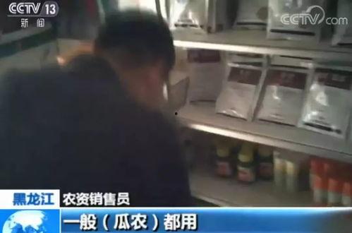 新乡吃瓜事件视频曝光最新,视频曝光揭示惊人真相