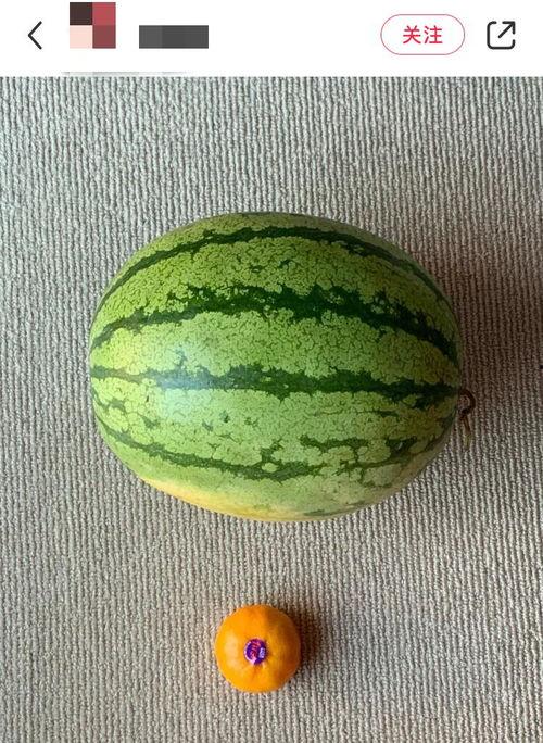 外国人中国人吃瓜视频