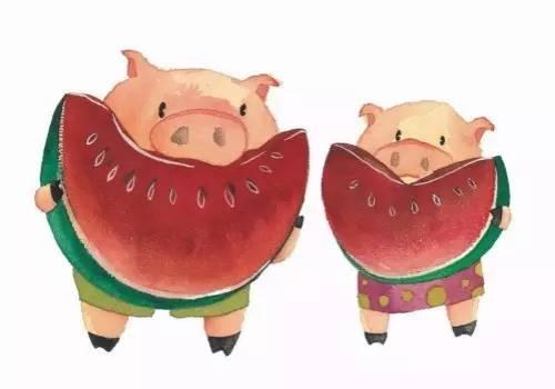 闲猪瓜怎么吃才好吃呢视频,解锁最佳食用技巧