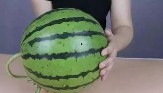 吃瓜吐皮的视频大全图片,视频大全里的趣味瞬间回顾