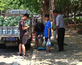 文县吃瓜群众事件视频曝光,视频曝光引发社会关注