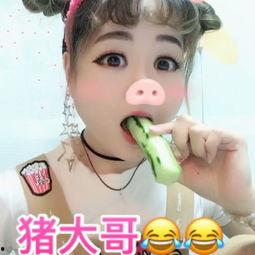 猪吃瓜搞笑视频合集,瓜瓜盛宴搞笑视频合集大放送