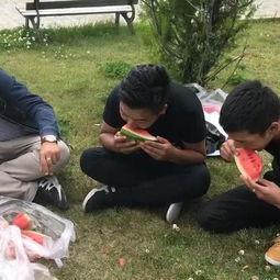 曹县吃瓜在哪里看视频,热门视频带你一探究竟