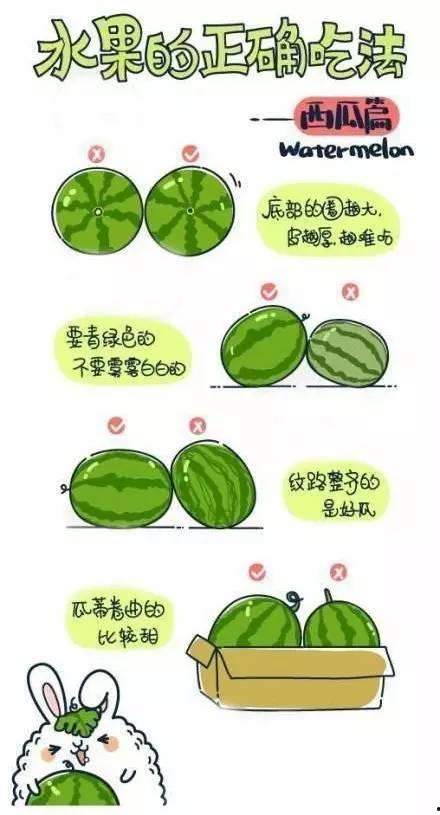 吃籽瓜的正确方法视频,美味又健康