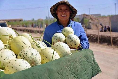 大城县吃瓜群众视频最新,揭秘当地生活百态