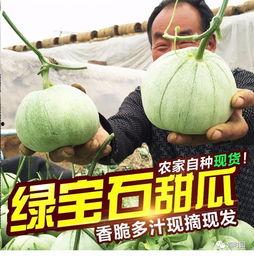 快乐的吃瓜怎么做视频