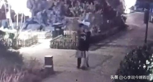 厦门世贸吃瓜事件视频,一场网络热议的围观与反思