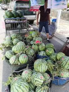 厦门世贸吃瓜事件视频,一场网络热议的围观与反思