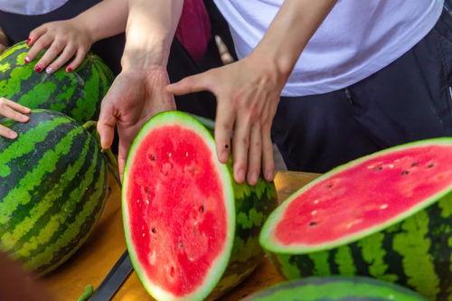 各学校吃瓜视频,各校热门视频盘点