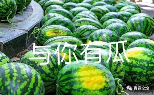 各学校吃瓜视频,各校热门视频盘点