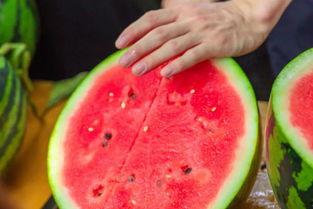 各学校吃瓜视频,各校热门视频盘点