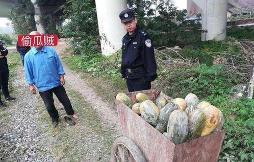 南乐县吃瓜事件真相视频,真相视频曝光背后的真相