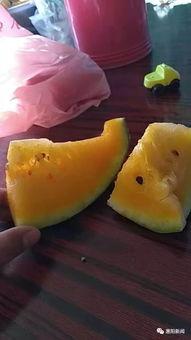 扫码才能看的吃瓜视频,独家吃瓜视频，一睹为快！