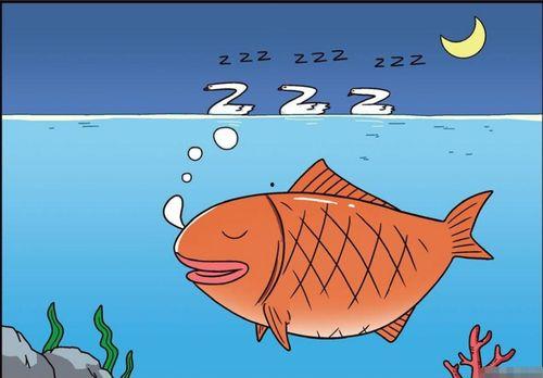 吃瓜群众恐龙岛视频,揭秘神秘古生物世界的吃瓜之旅