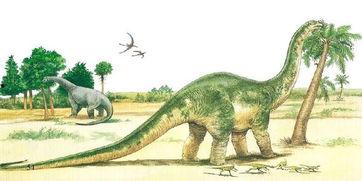 吃瓜群众恐龙岛视频,揭秘神秘古生物世界的吃瓜之旅