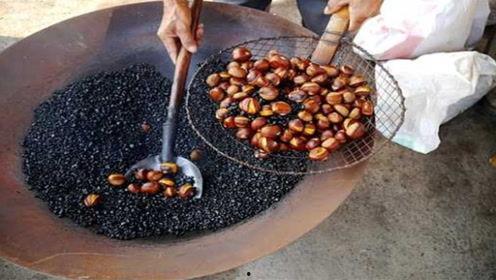 吃瓜的怪事视频,视频揭示的奇异现象大揭秘