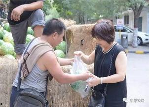 瓜农主播吃瓜视频