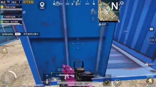 主播和平精英吃瓜视频,和平精英吃瓜视频背后的精彩故事