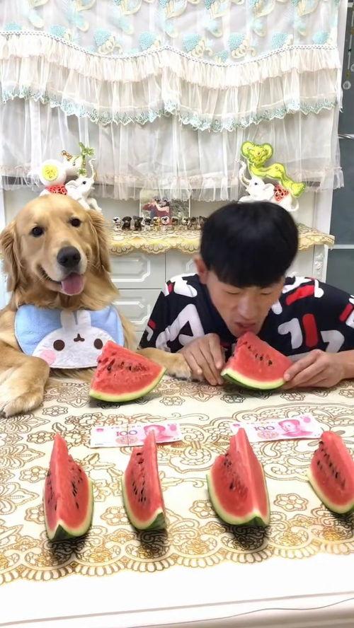 吃瓜视频套路大赛,一场全民娱乐的狂欢盛宴