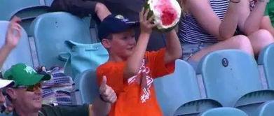 真实吃瓜 小男孩视频大全,小男孩视频大全趣味集锦