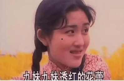 我们在吃瓜视频,带你领略网络娱乐的狂欢盛宴