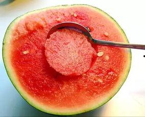 吃瓜开挂视频大全最新,最新开挂视频大全大揭秘