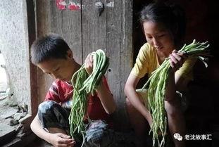 南燕弟弟事件吃瓜视频,揭秘网络吃瓜背后的真相与争议