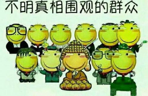 吃瓜群众找事的视频大全,笑料百出，引人深思