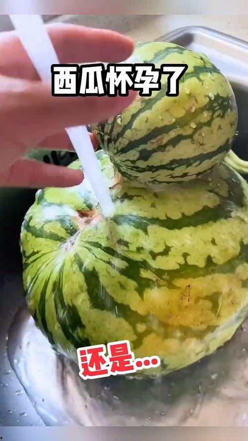 吃瓜搞笑系列视频,吃瓜搞笑系列视频，带你领略欢乐时光