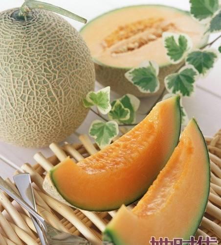 大鹅吃哈密瓜视频