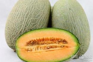 大鹅吃哈密瓜视频