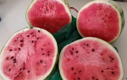 勺子吃麒麟瓜视频播放大全,全网热门视频大盘点