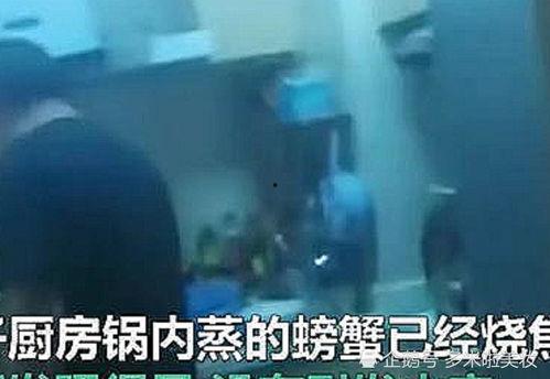 浙江吃瓜男女事件真相视频,揭秘背后真相与争议