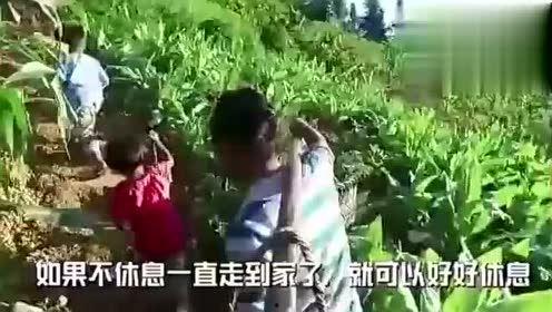 贵都花园事件吃瓜视频,吃瓜群众揭秘惊人真相