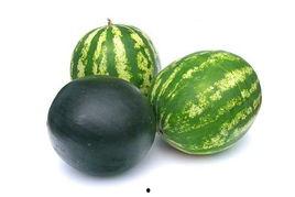 广东揭阳吃瓜事件视频,一场网络热议背后的真相揭秘