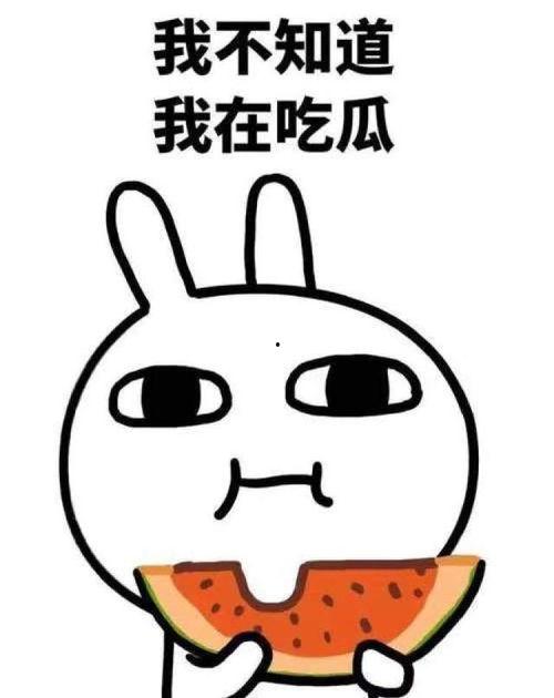 秃崽的吃瓜的视频,揭秘娱乐圈幕后故事