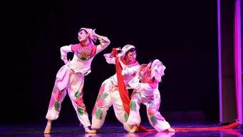 吃瓜大学舞蹈视频,青春活力，舞动校园